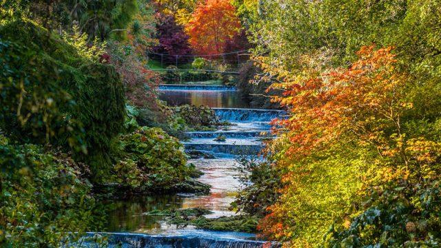 Mount Usher Gardens, Co Wicklow Image courtesy Ireland's Content Pool